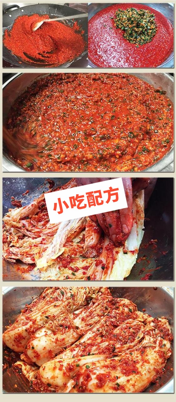 韩国辣白菜的做法和配方,正宗培训视频教程 辣白菜 第3张 韩国辣白菜的做法和配方,正宗培训视频教程 辣白菜 第3张